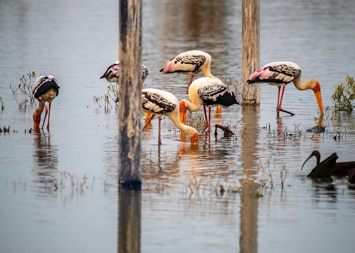 Delhi Bharatpur One Day Tour