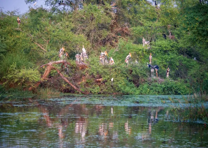 Delhi Bharatpur One Day Tour