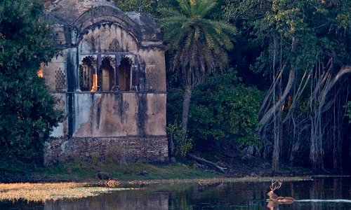 Golden Triangle With Ranthambore Tour Packages Golden Triangle With Ranthambore Tour Packages