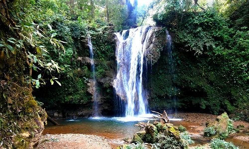 Corbett Tour Packages Corbett Tour Packages