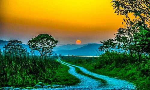 Corbett Tour Packages Corbett Tour Packages