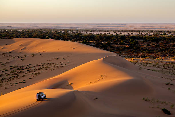 Desert Safari & Sand Dunes – A Magical Evening