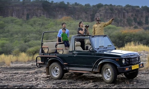 10:30 AM – Jeep/Canter Safari in Sariska