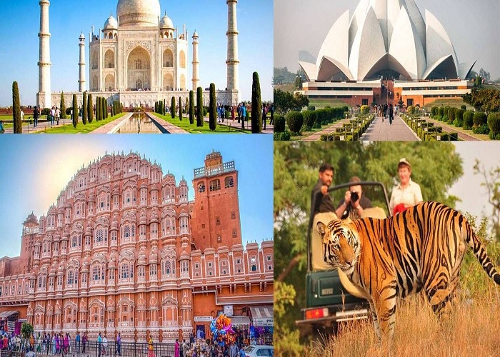 Golden Triangle Tour with Ranthambore